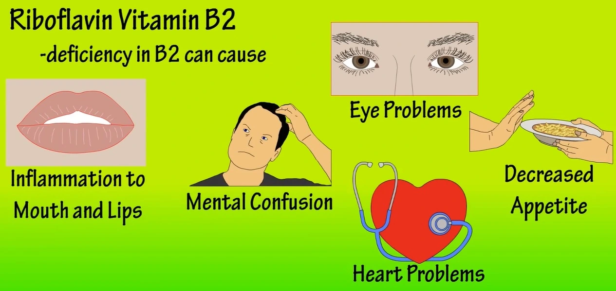 Vitamin B2