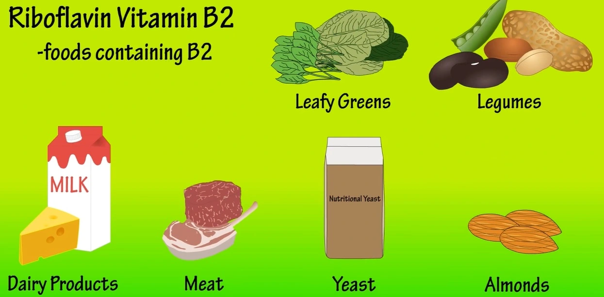 Vitamin B2