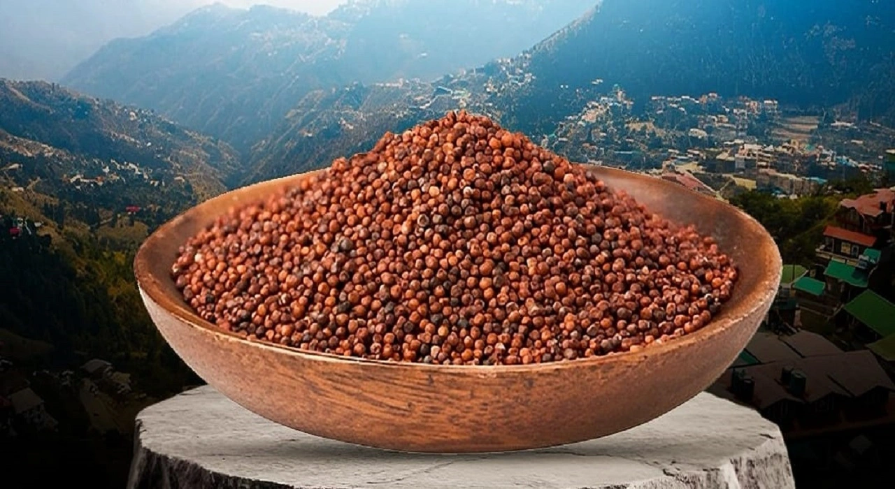 Ragi Benefits and Recipes