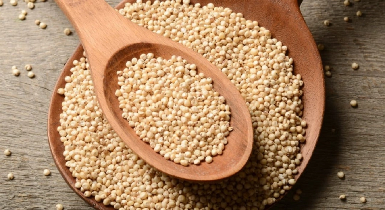 Foxtail Millet