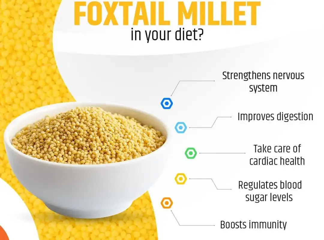 Foxtail Millet