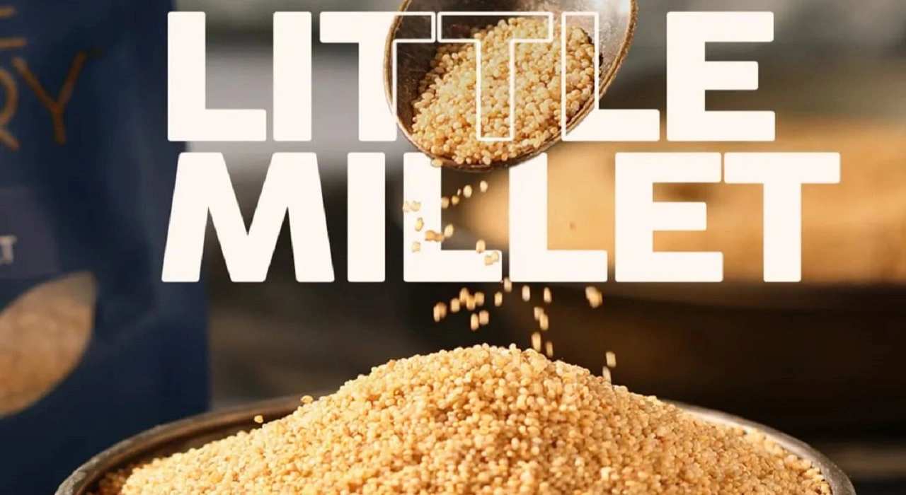 Little Millet