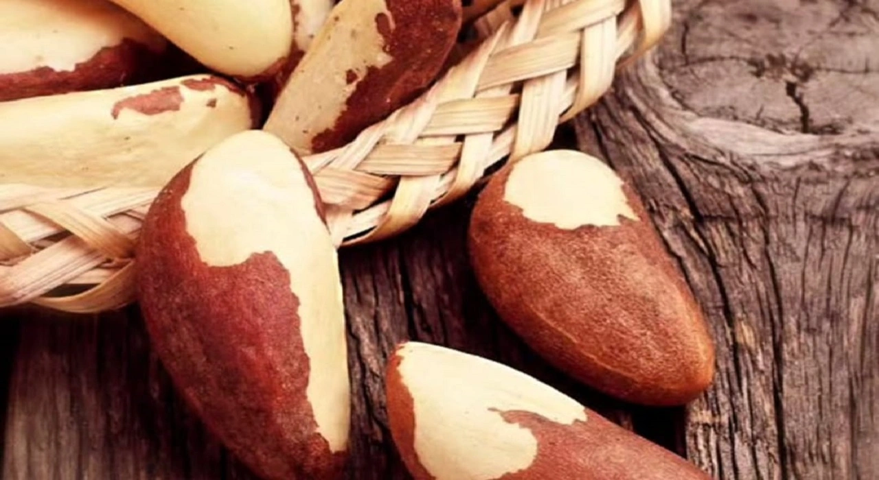 Brazil Nuts Benefits