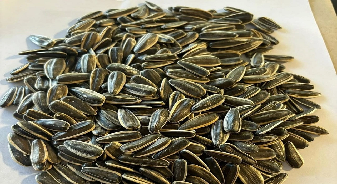 Sunflower Seeds