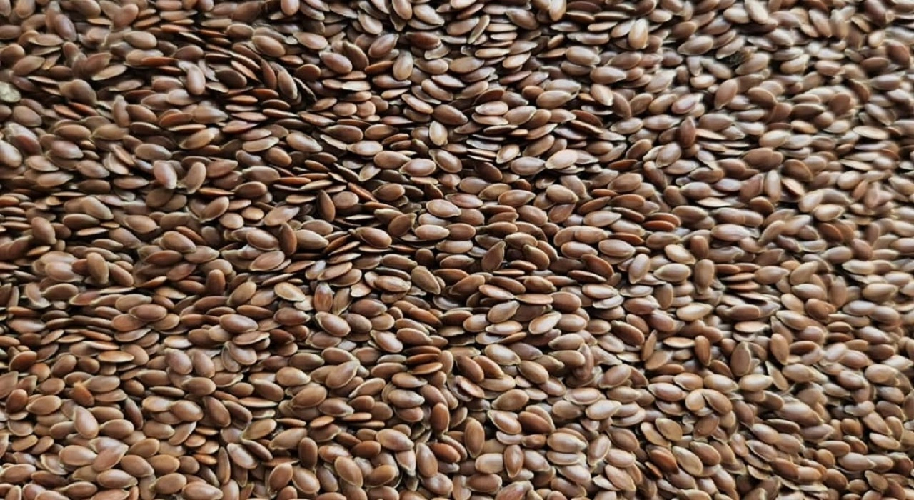 Flax Seeds
